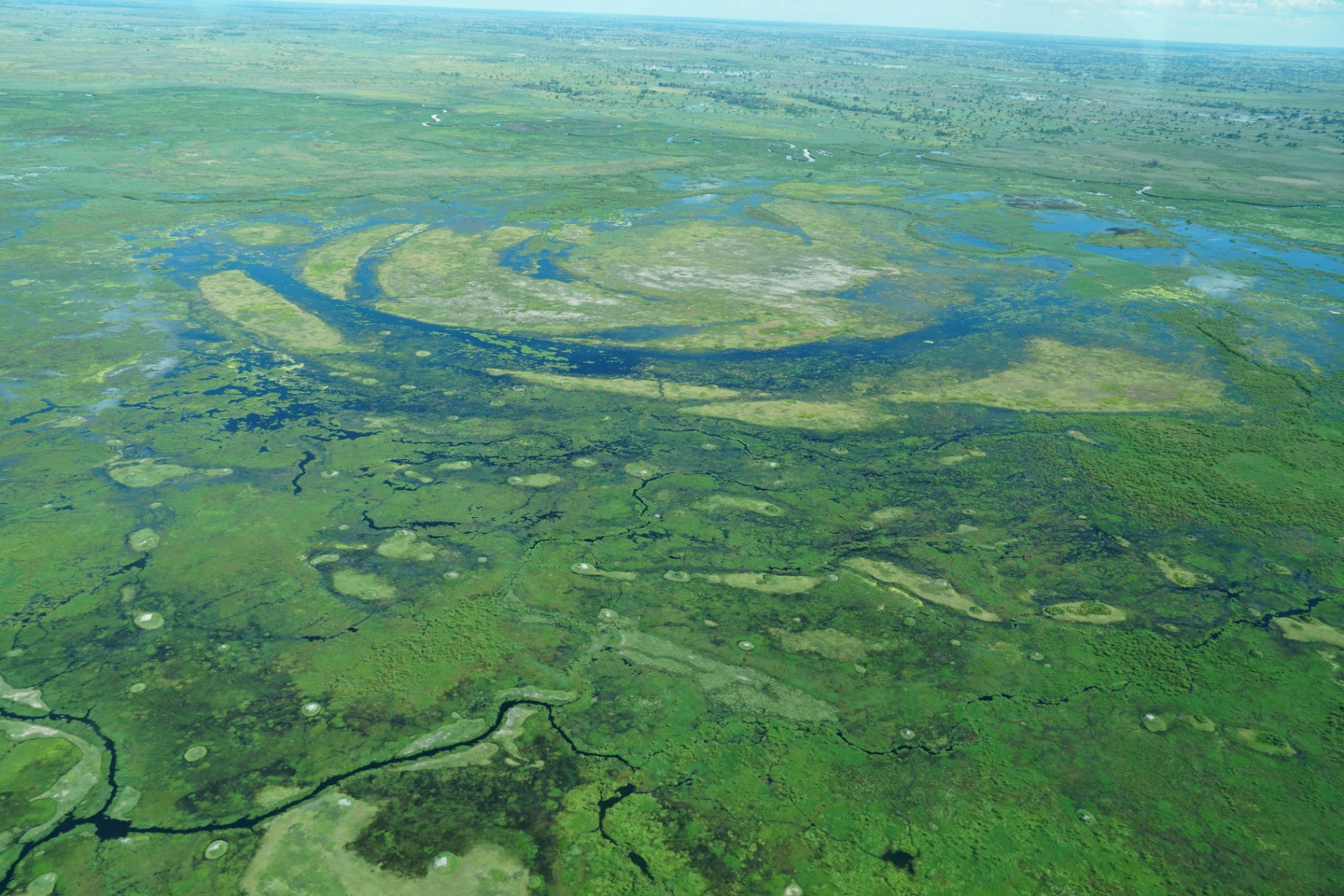 Delta — Okavango waterways