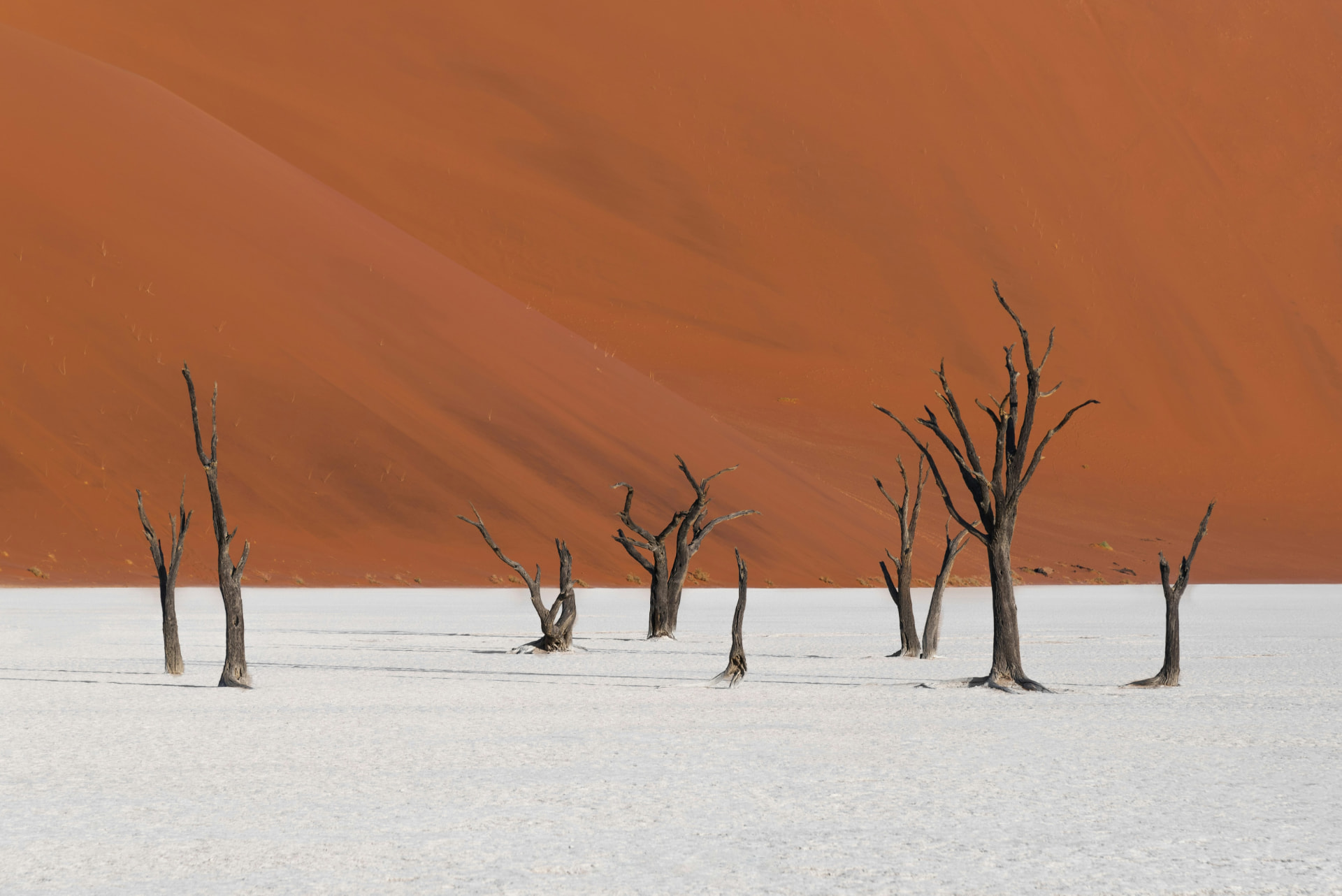 Desert — Namib dunes & gravel plains
