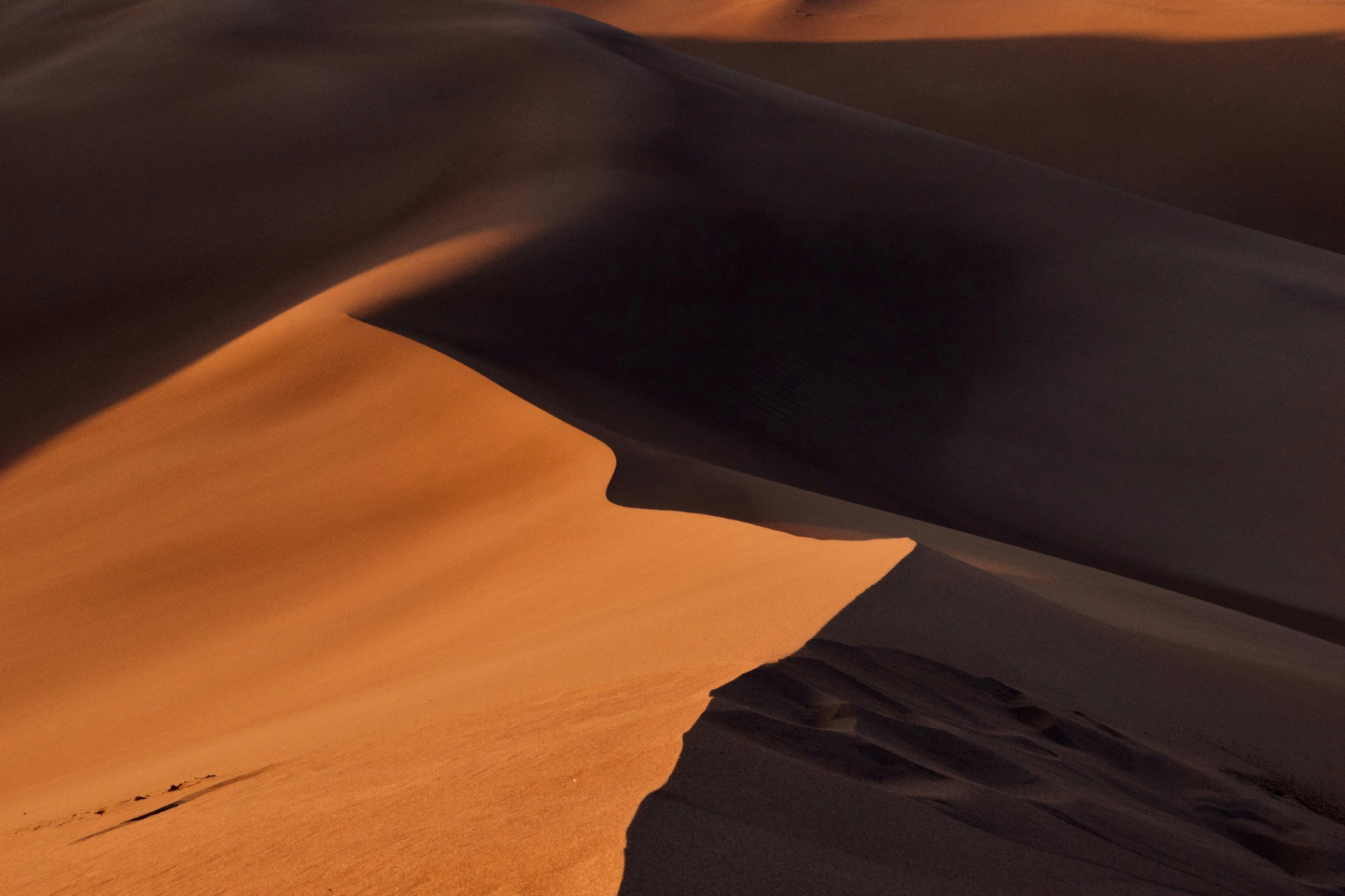 Why the Namib is best at 5am