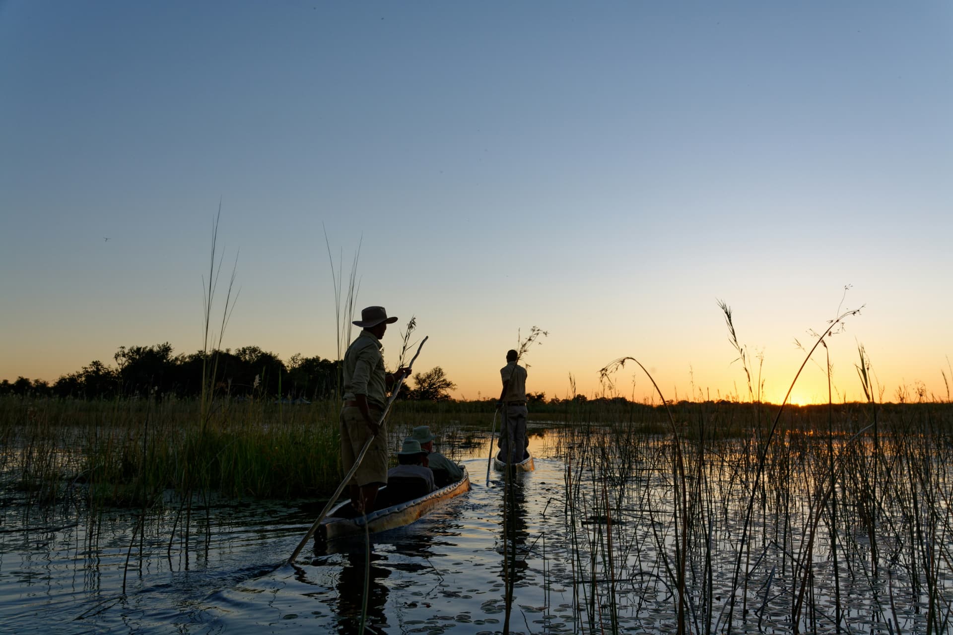 Mokoro polers gliding through Okavango reed channels at sunset.